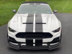Thumbnail Photo 9 for 2020 Ford Mustang